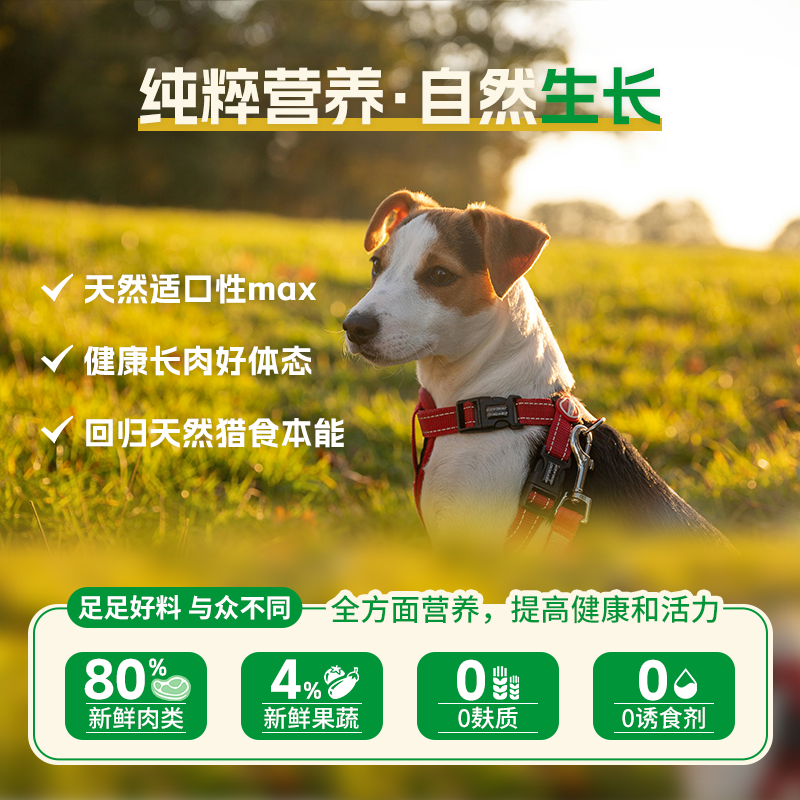 贝里家贝尔加多狗罐头德国进口主食罐营养湿粮拌饭狗罐头犬主食罐,淘宝优惠券,粉丝福利购,淘宝优惠卷