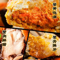 活蟹！六月黄大闸蟹1.5-1.8两12只装