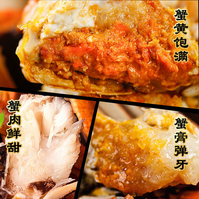 【活蟹】六月黄鲜活大闸蟹现货螃蟹河蟹水产礼盒官方旗舰店