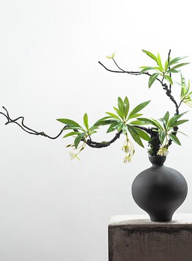 新黑色器插艺仿真绿植假饭店酒店饰摆软