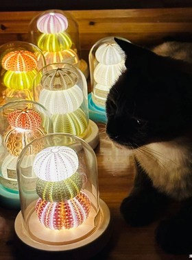 海胆灯diy材料包小夜灯床头卧室睡眠灯桌面发光摆件in