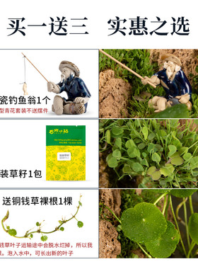 吸水石微景观居家摆件中式上水石奇石假山盆景配件U大小型装饰摆