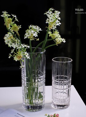 直筒水晶瓶插富贵竹水养客厅现代鲜瓶