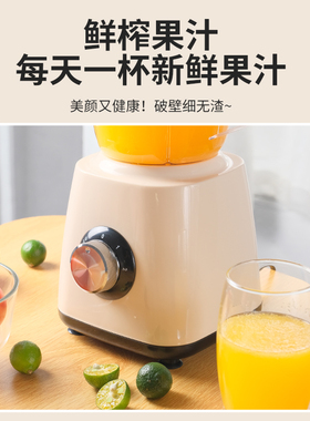榨汁水果小型打果汁大容量炸果汁榨汁杯式搅