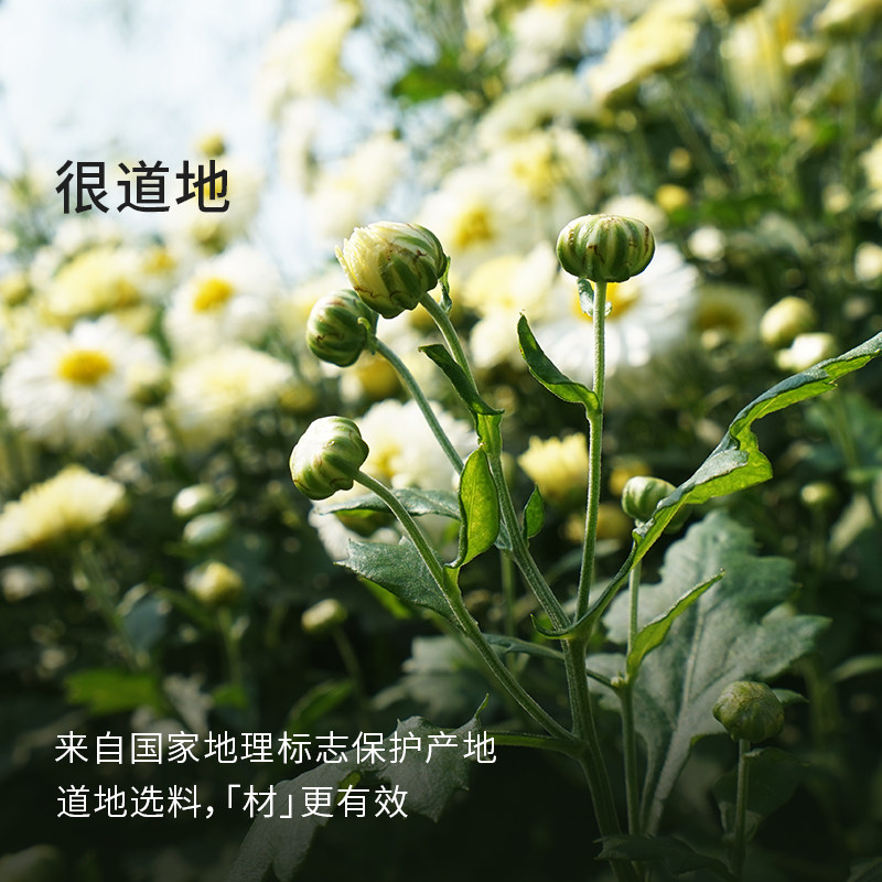 植物学家的女儿有机胎菊头茬胎菊养生茶可搭玫瑰枸杞泡水喝,淘宝优惠券,粉丝福利购,淘宝优惠卷