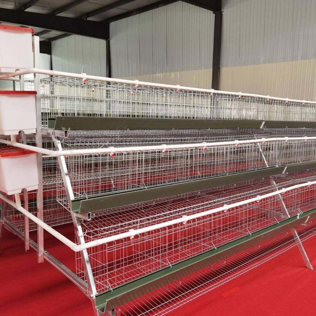 阶梯蛋鸡笼A型镀锌丝鸡笼立式养鸡设备鸡舍多层鸡窝加粗鸡笼底网,淘宝优惠券,粉丝福利购,淘宝优惠卷