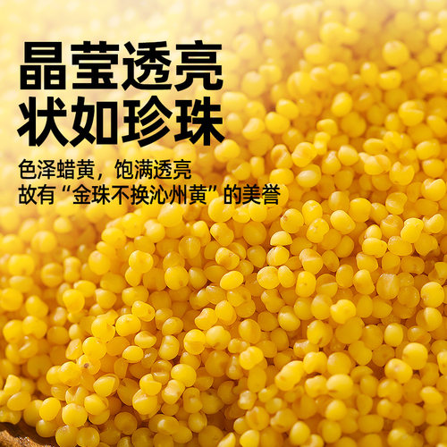 九月的诗山西有机沁州黄小米1000g山西特产沁州黄小米官方旗舰店 - 图2