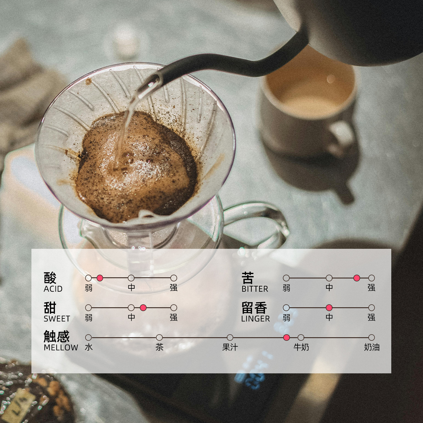 树本 巴西浓郁无酸阿拉比卡现磨巧克拉SOE意式咖啡豆深烘227g - 图2