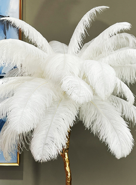 羽毛落地灯全铜台灯现代客厅沙发创意网红轻奢装饰卧室床头羽毛灯