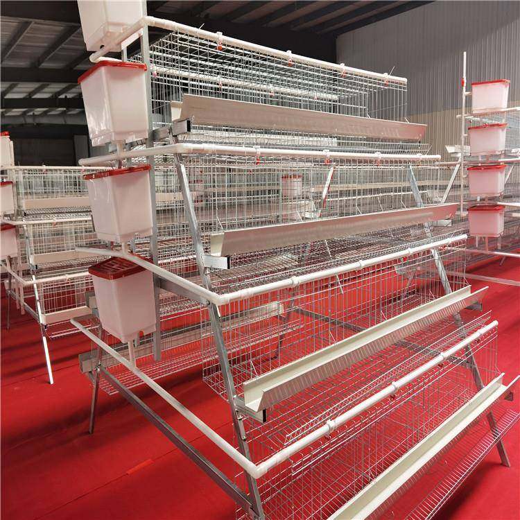阶梯式蛋鸡笼出口全自动全套养殖多层鸡笼镀锌蛋鸡笼设备供应,淘宝优惠券,粉丝福利购,淘宝优惠卷