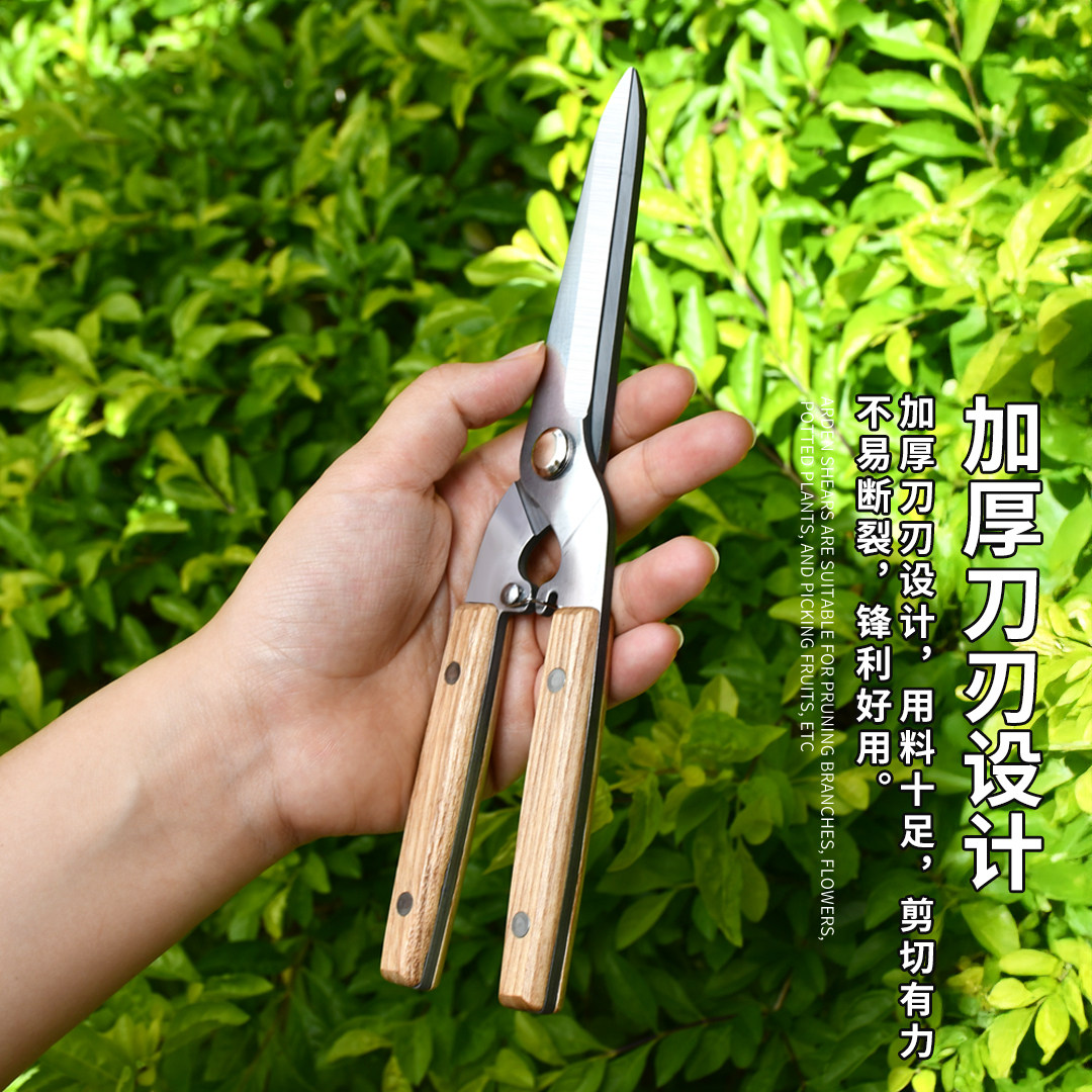 不锈钢园艺剪刀花艺师插花剪刀园艺剪刀修枝剪家用工具神器,淘宝优惠券,粉丝福利购,淘宝优惠卷