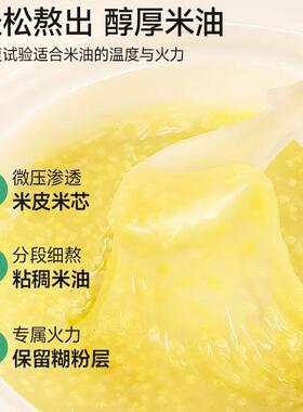 浦利顿电炖熬米油微压锅专用配件南瓜煲原装陶瓷内胆盖子微压阀1L