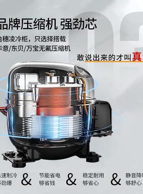 穗凌冰柜商用超大容量冷藏冷冻速冻柜冻肉保鲜冰箱风冷不锈钢雪柜