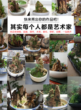 吸水石假山石盆景摆件造景上y水石假山盆景原石奇石观赏石微景观