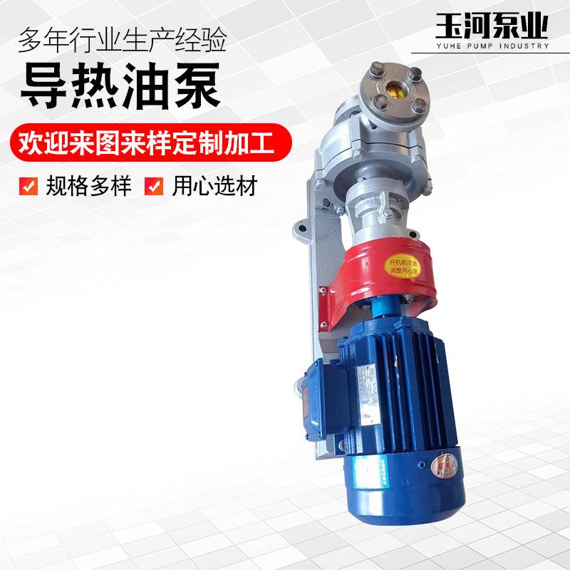 供应现货离心泵锅炉循环泵热油泵锅炉油泵RY型导热油泵导热油泵 - 图0