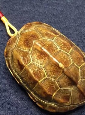 全天然龟甲 文玩龟甲 完整干净y 把玩 真龟壳 手把件 金钱龟壳摆
