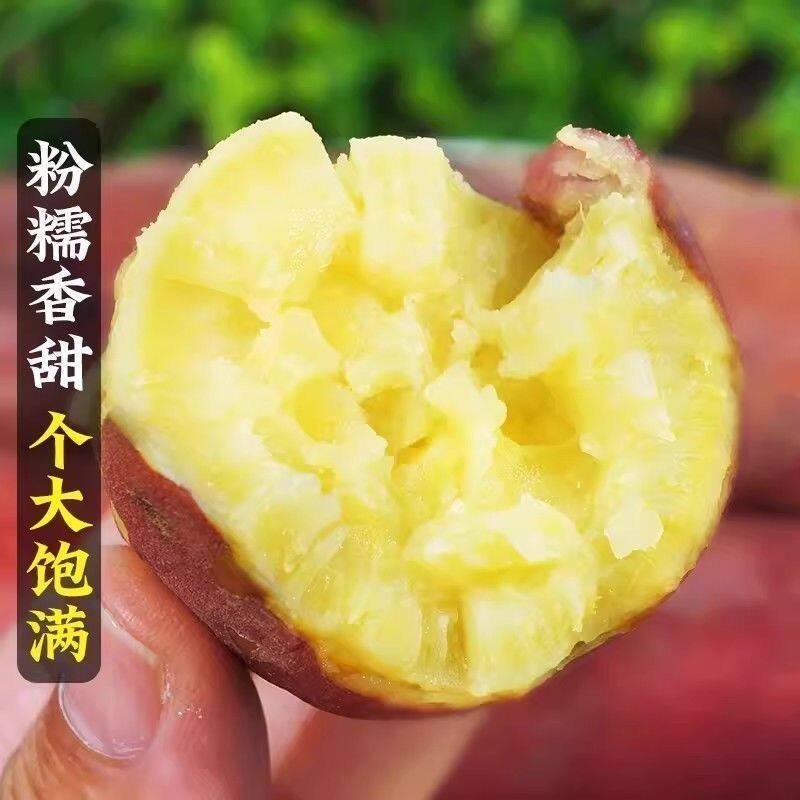海南正宗澄迈桥头地瓜富硒地瓜红薯新鲜沙地板栗蜜薯糖心产地直发