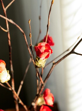 腊梅干枝插花装h饰摆件干花花束客厅摆设梅花树枝树干真花风干天