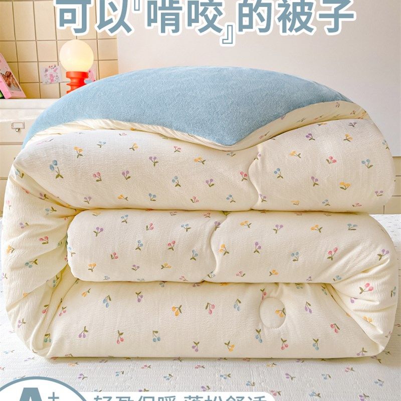 秋冬季双层纱宝宝绒被子冬被加厚加绒保暖被芯春秋被单人床盖套件,淘宝优惠券,粉丝福利购,淘宝优惠卷
