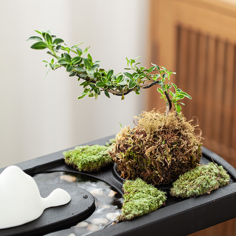 简约现代石槽鱼缸鱼池假山微景观造E景喷泉流水器摆件循环水景配,淘宝优惠券,粉丝福利购,淘宝优惠卷