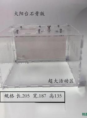 石膏蚁巢巢生亚克力城堡试管宠物生日特硬蚁巢宠物混凝土散装长宽