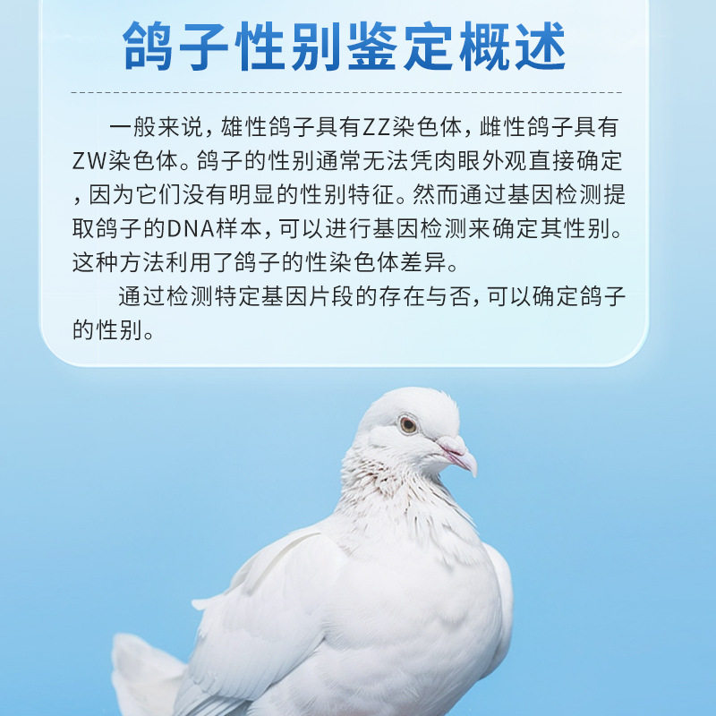 飞鸽性别鉴定仪器鸽子公母DNA鉴别赛鸽染色体鸟类雌雄DNA鉴定仪,淘宝优惠券,粉丝福利购,淘宝优惠卷