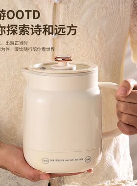 电热杯炖煮一体养生烧水壶一人小型多功能办公热牛奶神器电煮杯