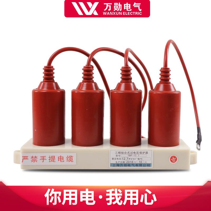 TBP-ABC-12.7F10KV三相组合式过电压保护器避雷器线路防雷 - 图0
