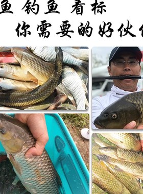 男士偏光镜户外鱼看鱼找鱼眼镜 看水底射鱼眼镜专用 钓鱼墨镜