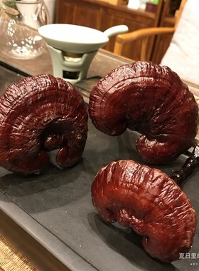 灵芝 整枝 装饰摆件 清供 禅意 灵芝 紫灵芝 上供