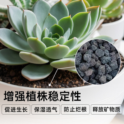 天然火山石岩颗粒多肉兰花专用拌土营养土铺面垫底水族缸净水造景 - 图1