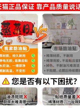 卡通厨房防油静电贴加厚耐高温