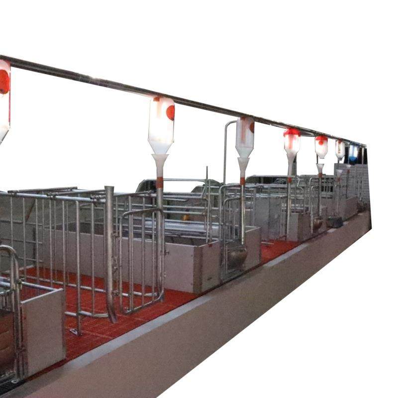 料线料塔自动化养猪场热镀锌养猪配套育肥场设备全自动喂料养殖场,淘宝优惠券,粉丝福利购,淘宝优惠卷