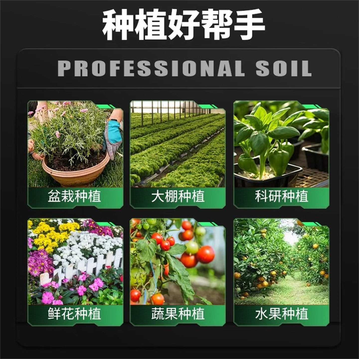 土壤PH值酸碱度湿度检测仪花草盆栽泥土养水分农业大棚肥力测试计,淘宝优惠券,粉丝福利购,淘宝优惠卷