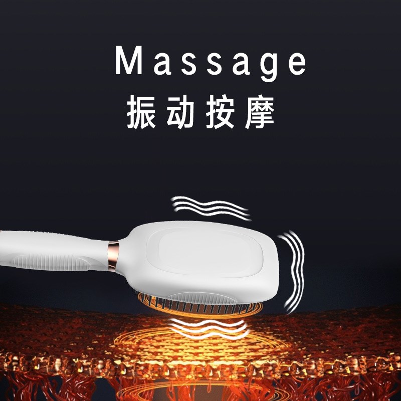 震动按摩梳预防脱发护理新生发苗EMS微电流红光疗经络健发梳护发 - 图2