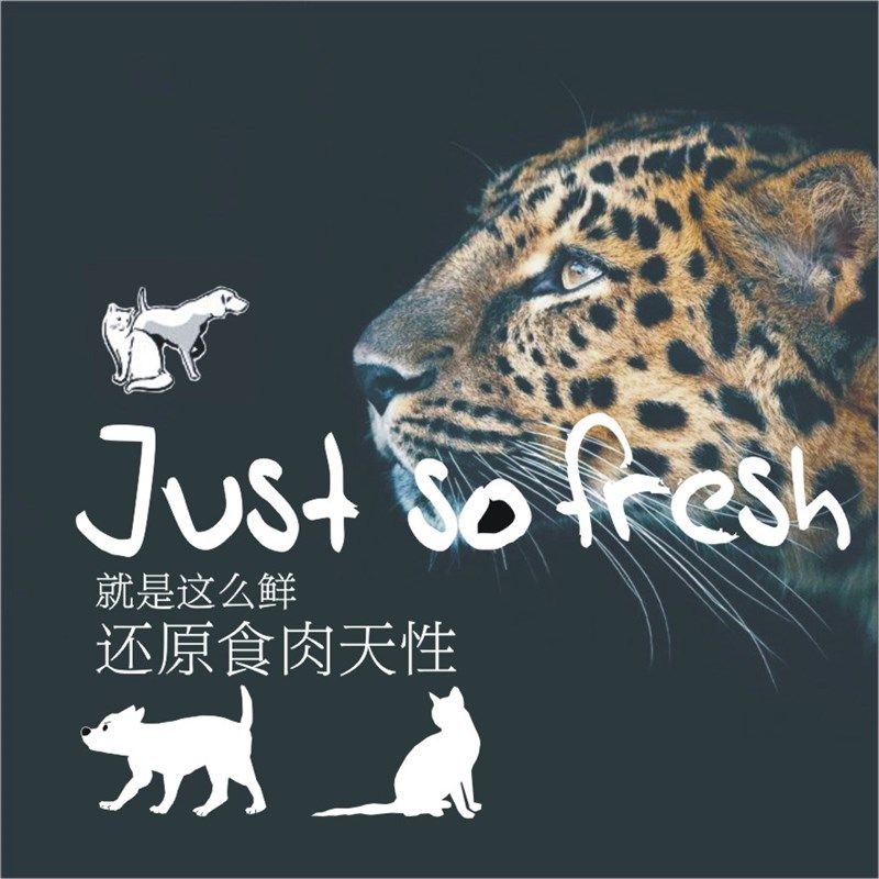 宠物鸡肉鸭肉鲜肉冻干桶200克开胃增肥幼猫发腮猫狗孕期产后营养,淘宝优惠券,粉丝福利购,淘宝优惠卷