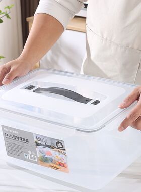 食品级冰柜收纳盒箱保鲜密