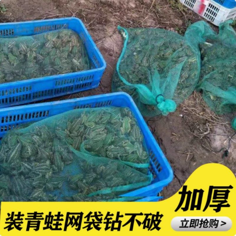 装青蛙网兜水产网袋牛蛙养殖网袋子包装袋活禽尼龙袋尼龙纱网加厚,淘宝优惠券,粉丝福利购,淘宝优惠卷