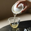 Zhishu high-end herbal ash travel kung fu tea set one pot two cups quick cup outdoor portable tea drinking equipment