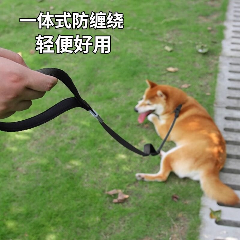 狗狗牵引绳p链一体式狗狗p绳中大型犬p绳小型犬超长狗绳p绳遛狗 - 图3