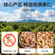 Big new product Wangwang Bean Cashew Almond 2025 New Arrival Nuts Roasted Seeds Dried Fruit Snacks