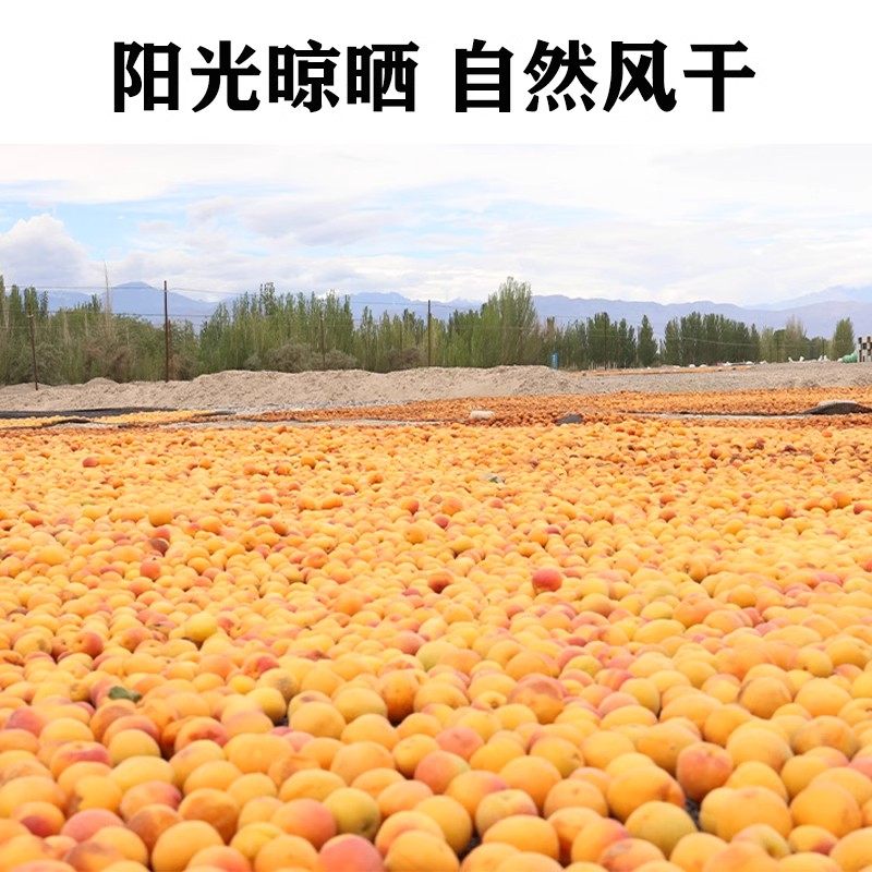 新疆杏干2025年新货特级无添加原味无糖新鲜天然纯杏干兵团吊干杏,淘宝优惠券,粉丝福利购,淘宝优惠卷