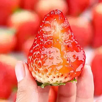 【顺丰速达】红颜99大草莓3斤净重水果[15元优惠券]-寻折猪