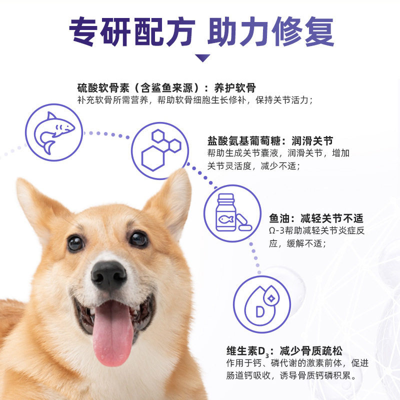 新宠之康宠物鲨鱼软骨素10粒犬猫通用宠物营养补充剂关节保健宠物,淘宝优惠券,粉丝福利购,淘宝优惠卷