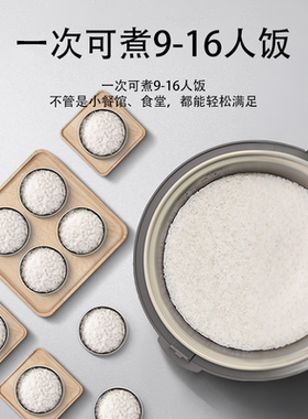 美的大容量9升一键式电饭煲