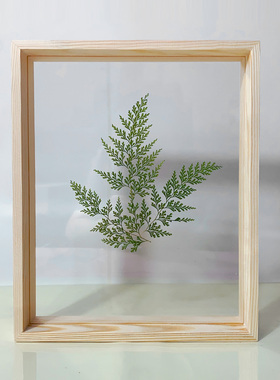 实木亚克力植物标本相框字画装裱
