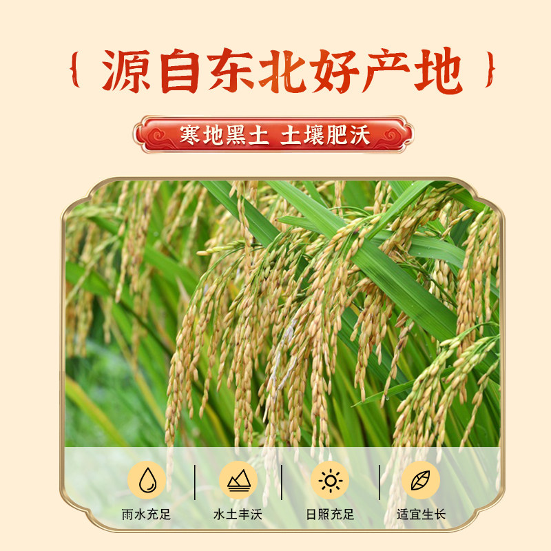 Germ red brown rice, new arrivals from farmers, coarse grains, whole grains