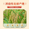 Germ red brown rice, new arrivals from farmers, coarse grains, whole grains