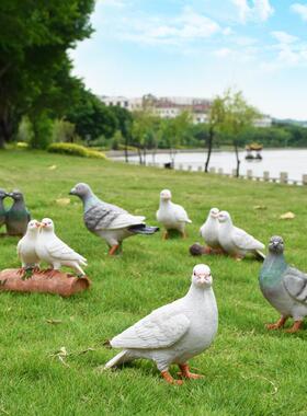 户外花园摆件动物雕塑幼儿园仿真和平鸽子摆设庭院艺园造景装饰品