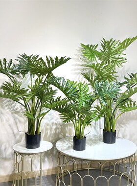 仿真春芋叶龟背花烛o假树绿植物盆栽室内客厅阳台庭院景观装饰摆